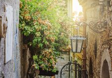 Green Creeper Plant On An Old Wall In Taormina, Italy Stock Images