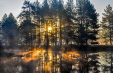 Morning In Forest With Sun Rays And A Fog From The River Stock Photo
