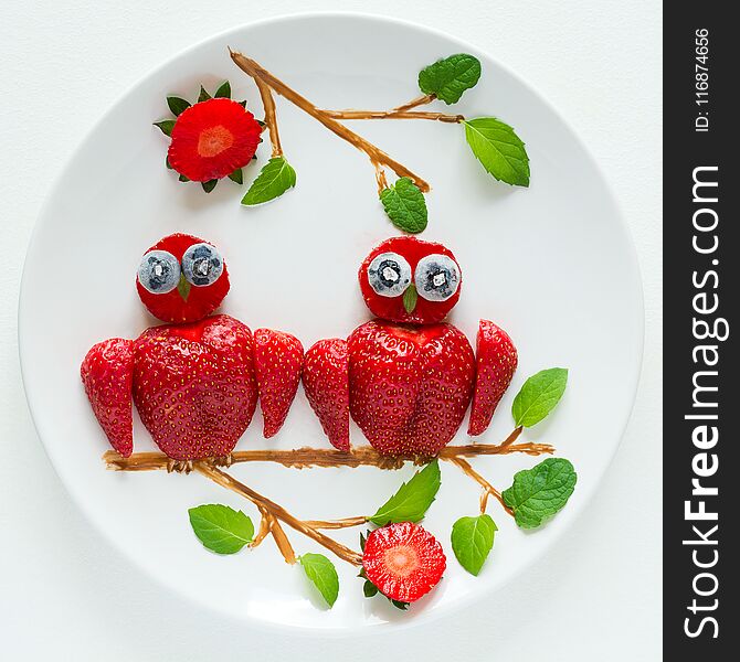 Food art creative concept. Owls sitting on a branch. Strawberry, blueberry, chocolate, mint composition. Top view.