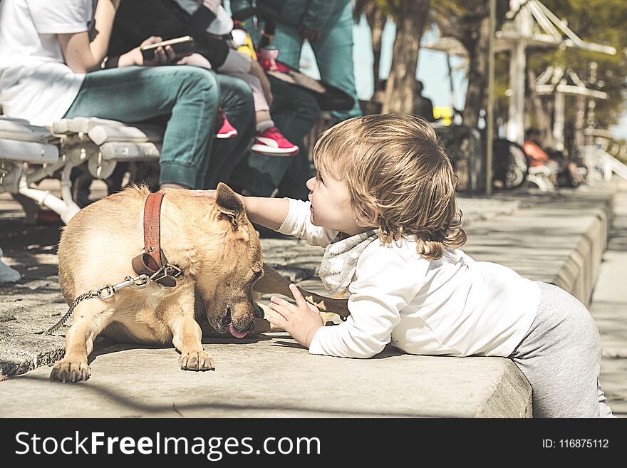 Little girl petting a brown dog on the street. Little girl petting a brown dog on the street.