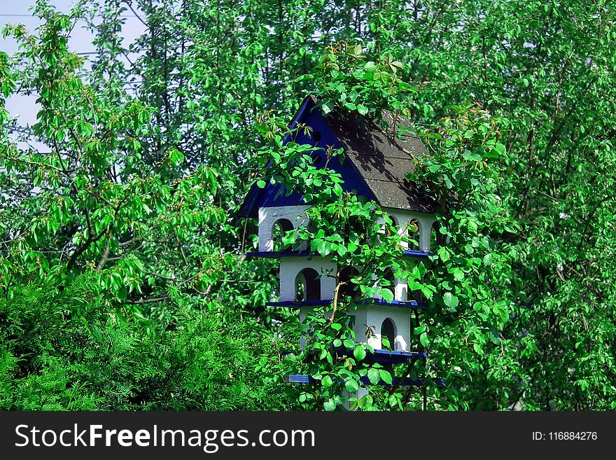 Green, Nature, Vegetation, Nature Reserve