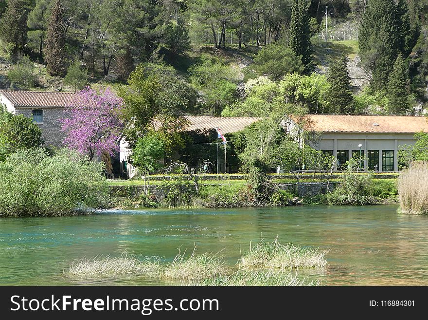 Water, Waterway, Nature Reserve, Vegetation