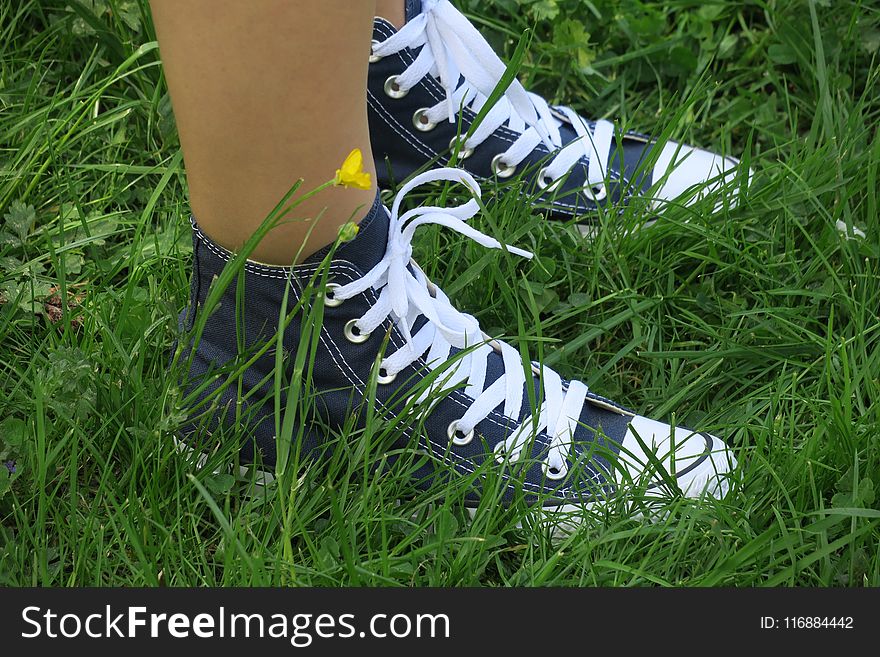 Footwear, White, Shoe, Grass