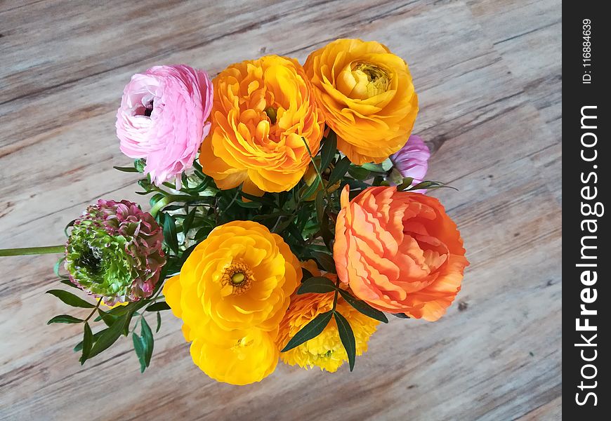 Flower, Yellow, Flower Arranging, Cut Flowers