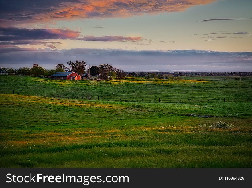 Grassland, Sky, Field, Pasture