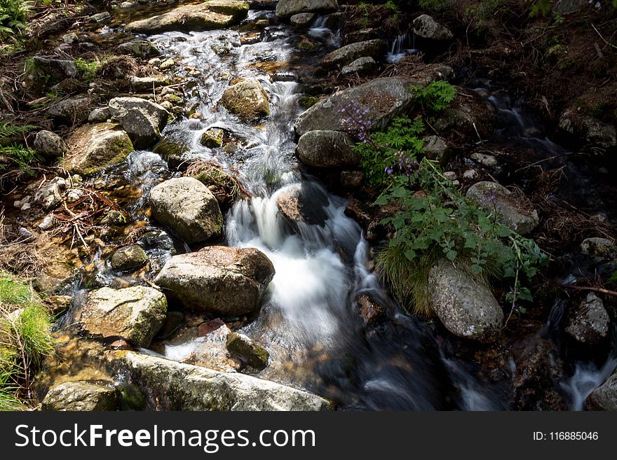 Water, Stream, Body Of Water, Watercourse