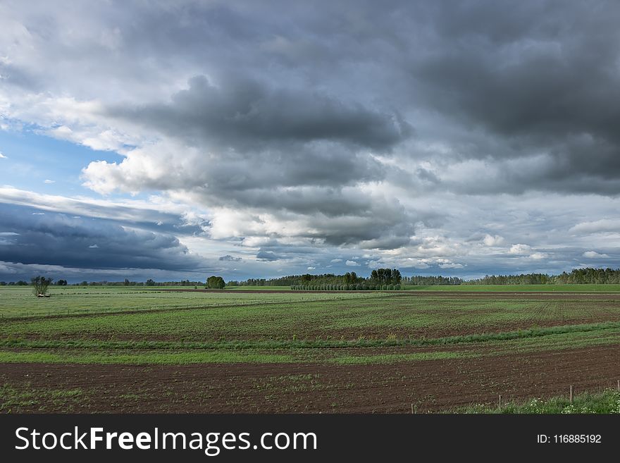 Sky, Cloud, Grassland, Field