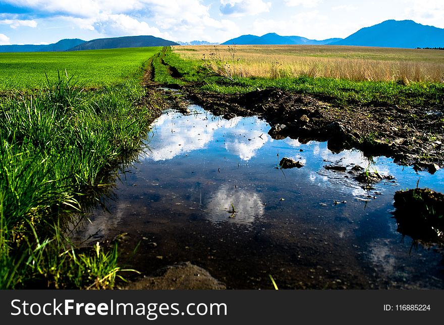Water, Reflection, Nature Reserve, Water Resources