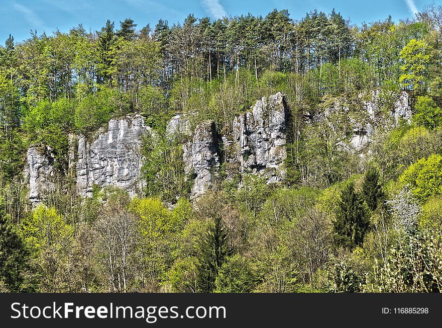 Nature, Vegetation, Ecosystem, Nature Reserve