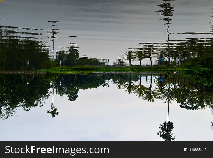Reflection, Water, Nature, Sky