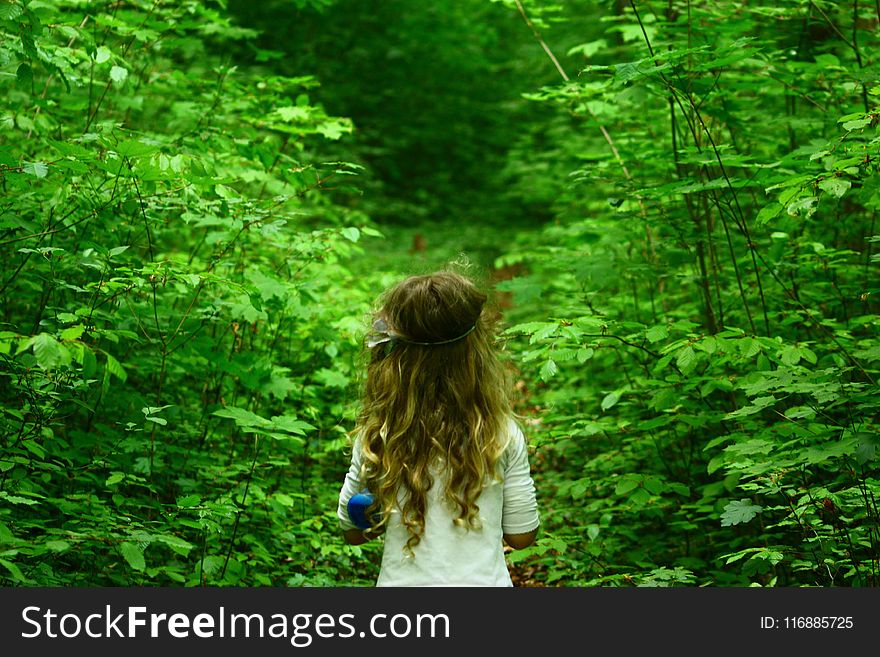 Green, Nature, Ecosystem, Nature Reserve