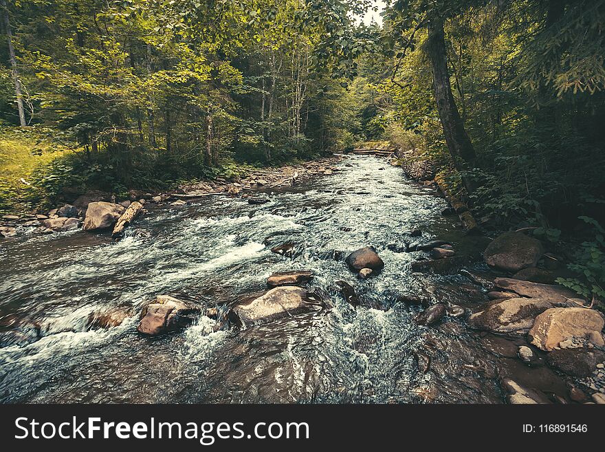 River flowing through the valley. Carpathians.