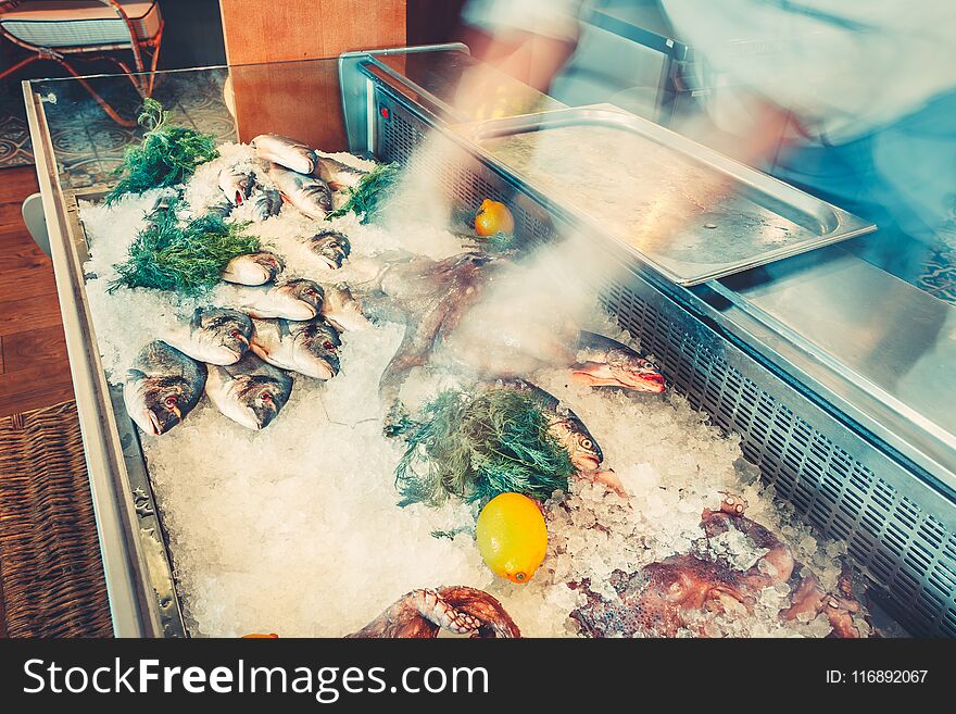 Fresh fish, octopuses in the refrigerated counter.