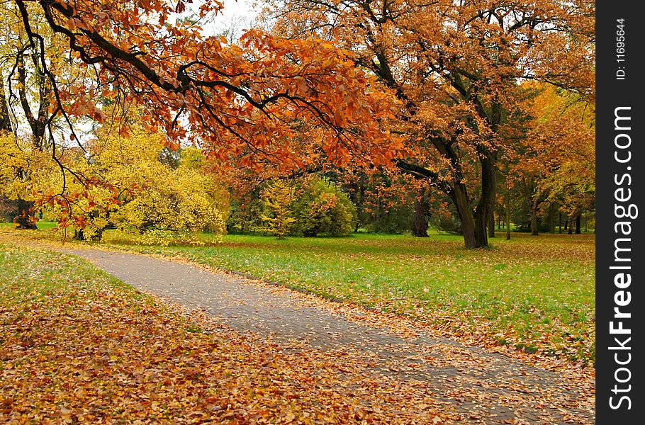 Trees with yellow and red leaves in park, a path and the green grass, filled up by yellow leaves. Trees with yellow and red leaves in park, a path and the green grass, filled up by yellow leaves