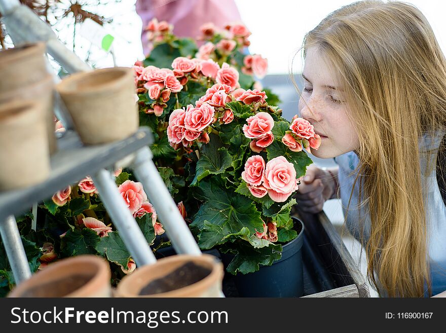 Young happy teenage girl sniffing a rose in a flower shop. Young happy teenage girl sniffing a rose in a flower shop