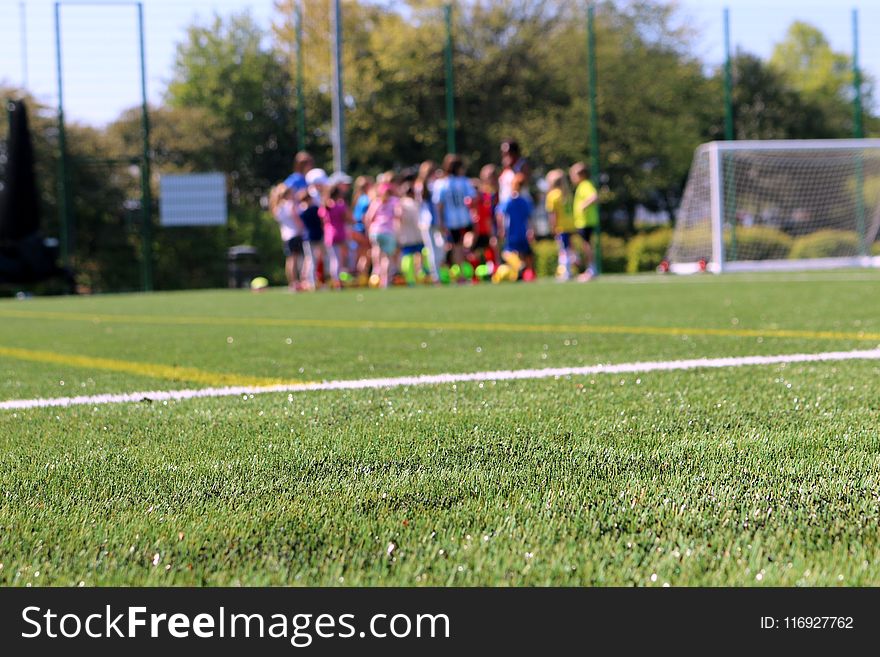 Soccer Field