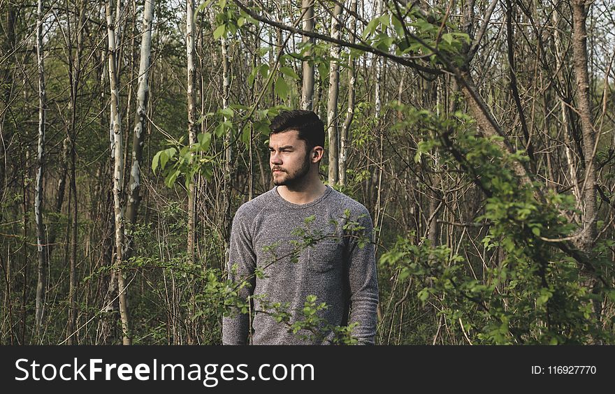 Man in Gray Crew-neck Long-sleeved Shirt Standing Near Plants