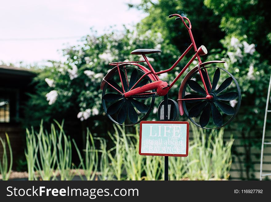Shallow Focus Photo Red and Black Bicycle Miniature Decor