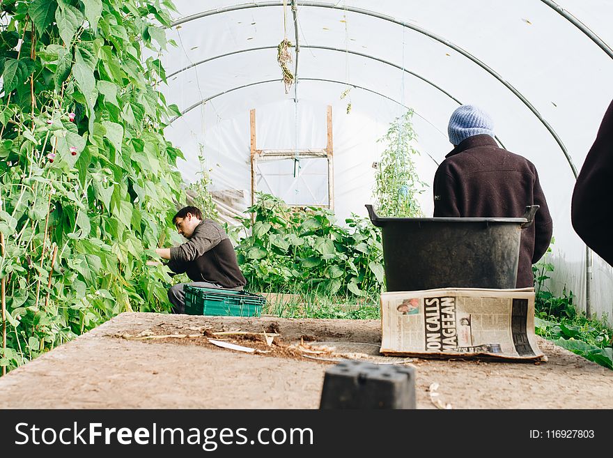 Man Wearing Black Jacket Inside the Greenhouse