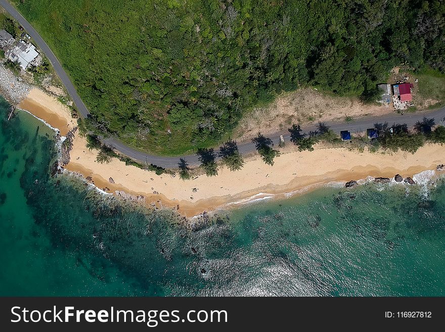 Aerial View Of Ocean And Trees