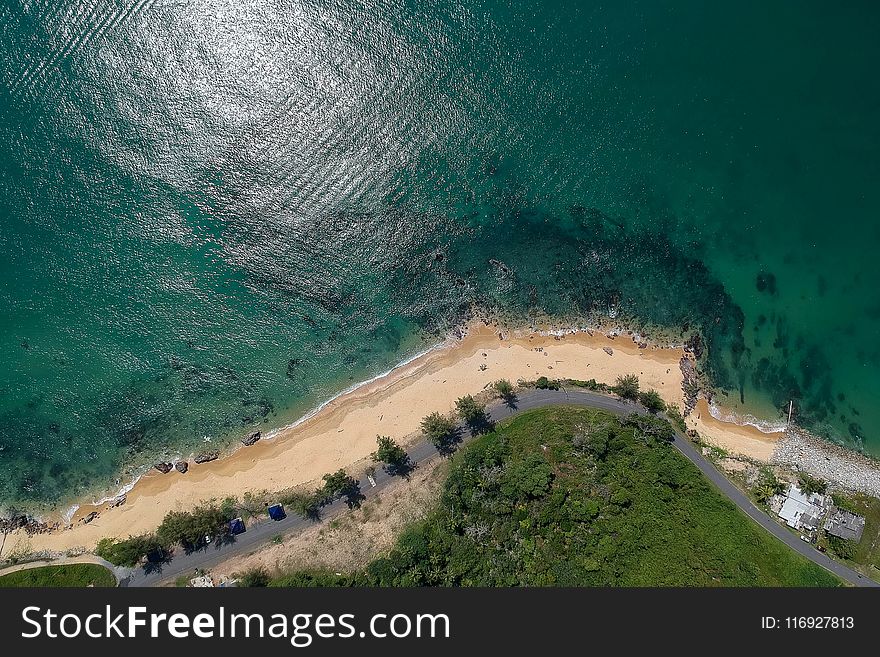 Aerial Photography of Green Trees in Front of Body of Water