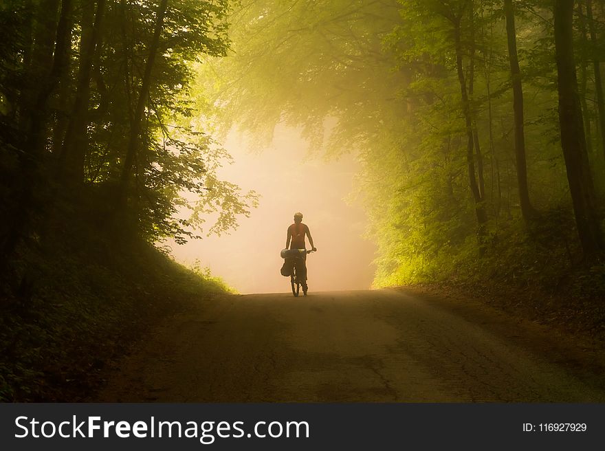 Person Riding Bicycle