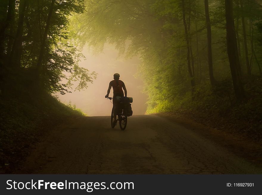 Person Riding on Bicycle Near Trees