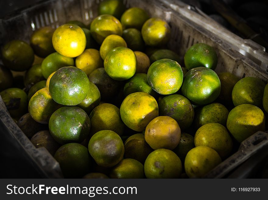 Green Calamansi Fruit