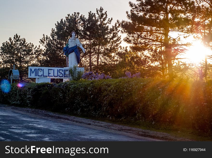 Hindu Deity Statue Near Forest