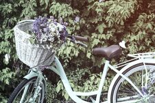 Bicycle With Basket Of Flower Caspia, Pastel Color Stock Images