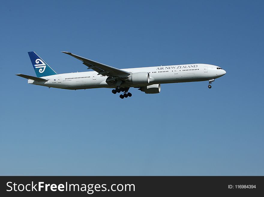 Photo of Air New Zealand in Flight