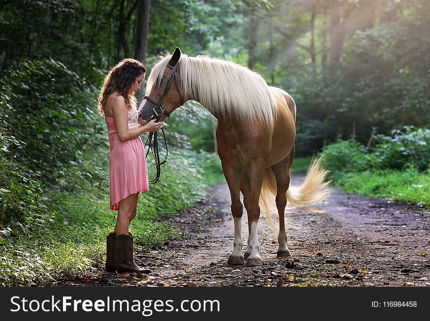 Woman Wearing Pink Dress Standing Next to Brown Horse