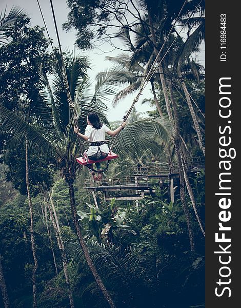 Girl Riding Swing