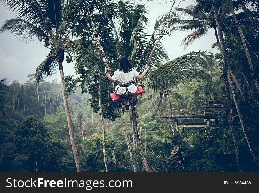 Person Sitting On Swing On Edge Of Forest During Day