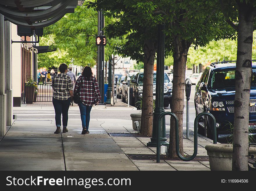 Two Woman in Plaid Sport Shirt Walking on Concrete Pathway Near Street