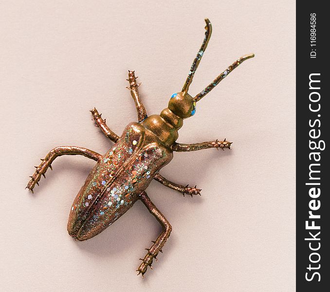 Gold-colored Longhorn Beetle