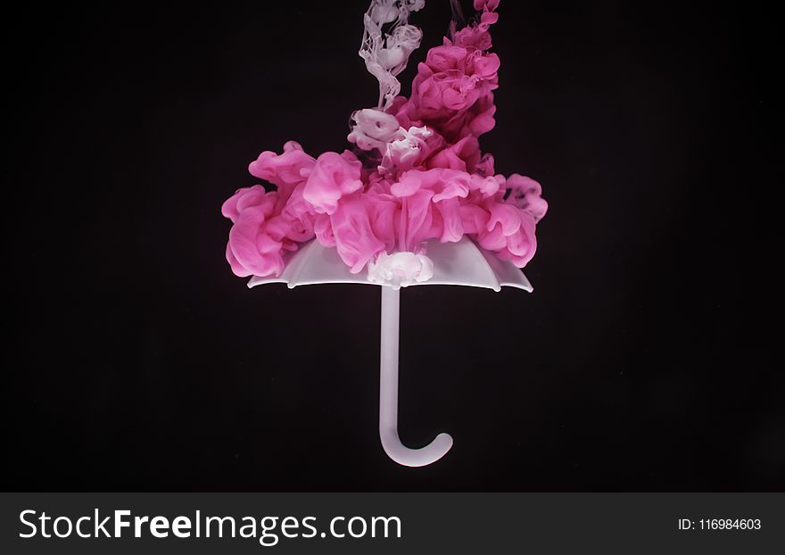 Photo Of Pink And White Floral Embellished Umbrella