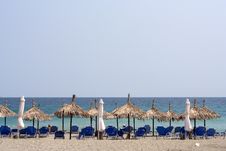 Organized Beach With Straw Umbrellas Stock Image