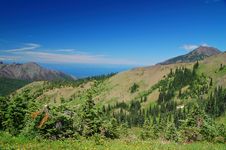 Mountain Meadow Stock Photos Mountain Meadow Stock Photos