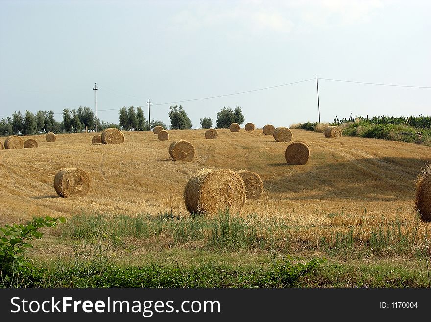 A Tuscany Countryside panorama near Florence