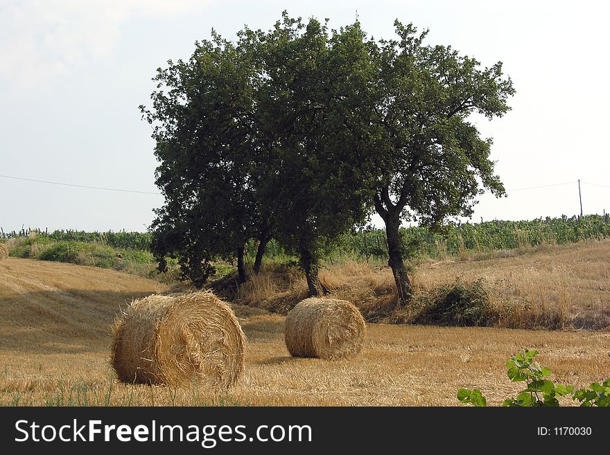 A Tuscany Countryside panorama near Florence