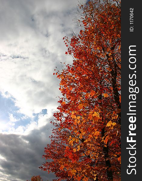 Impending storm on a beautiful autumn day