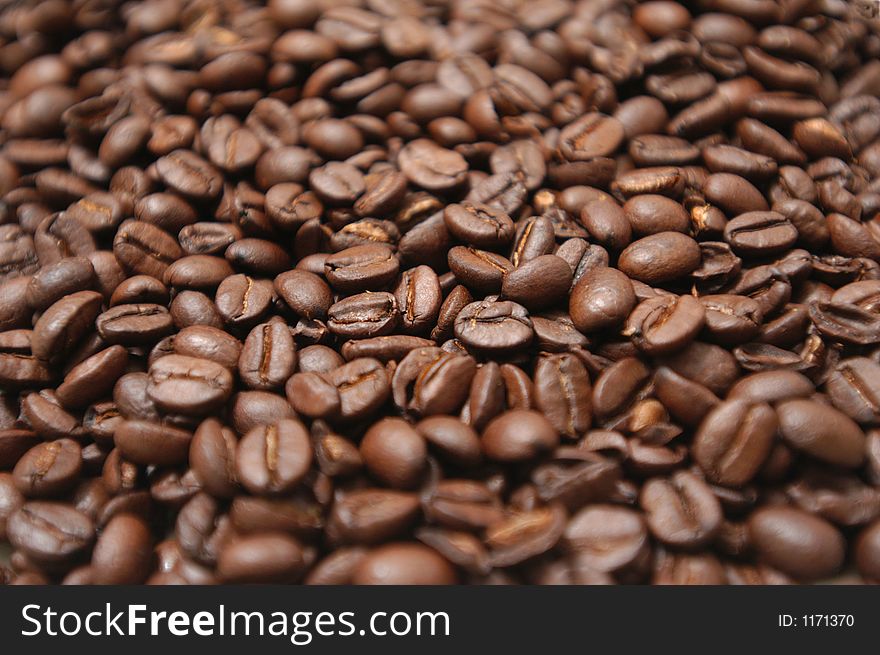 Picture of Arabica coffee beans