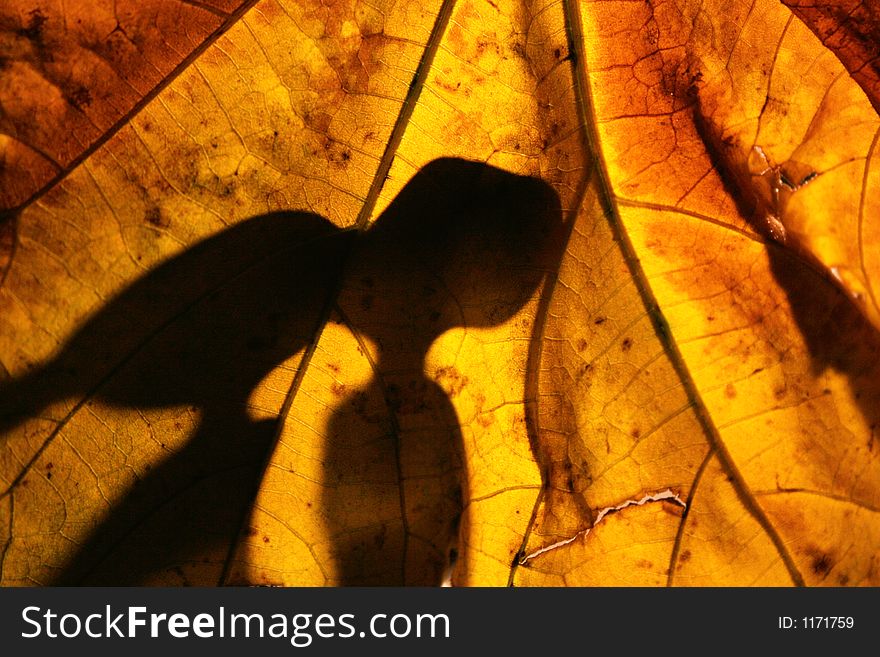 Silhouette of two little kids kissing. Silhouette of two little kids kissing