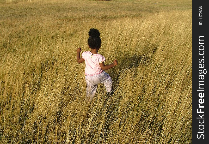 Baby walking through tall grass. Baby walking through tall grass