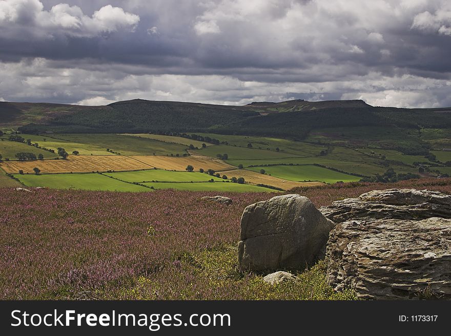 Moor in front of view of farmland and hills. Moor in front of view of farmland and hills