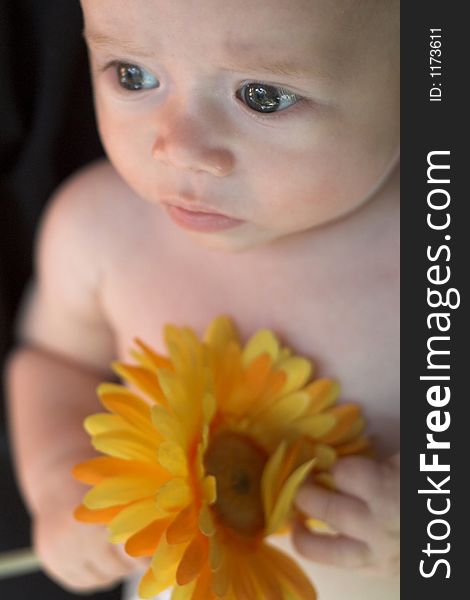 Image of a cute baby holding a yellow silk flower. Image of a cute baby holding a yellow silk flower