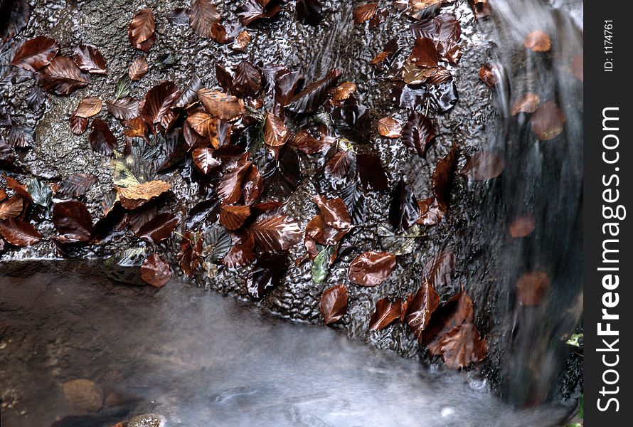 Autumn stream in the wood. Autumn stream in the wood