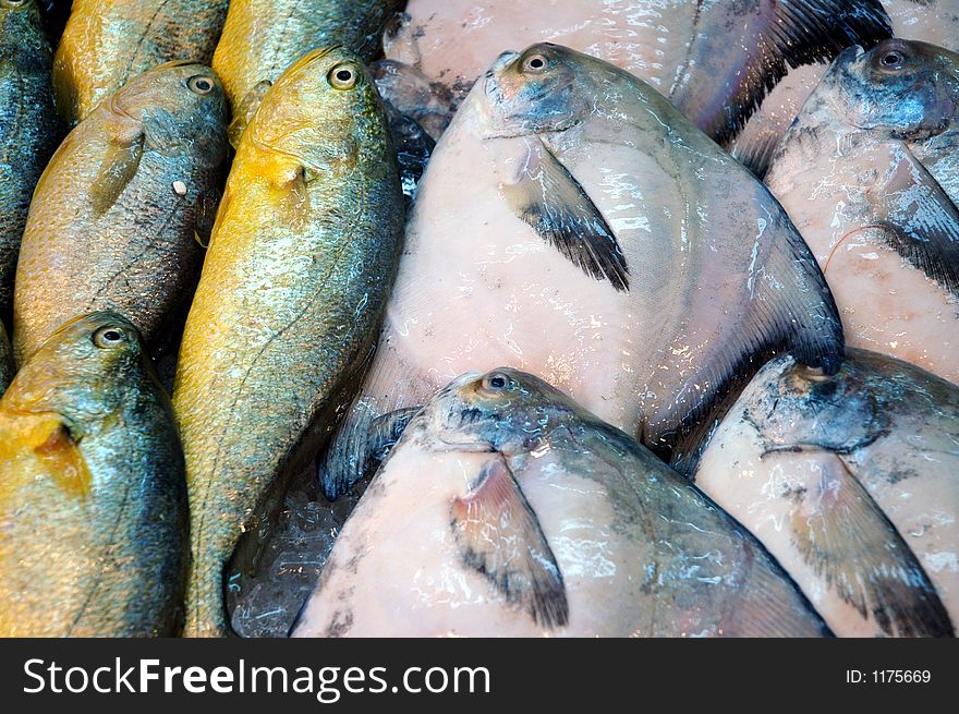 Close up of freshly caught fish at a 'wet market' in Hong Kong. Close up of freshly caught fish at a 'wet market' in Hong Kong