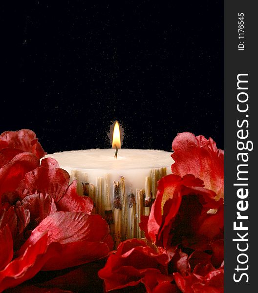 Still life with a black background, candlelit with vibrant red flowers. Still life with a black background, candlelit with vibrant red flowers.